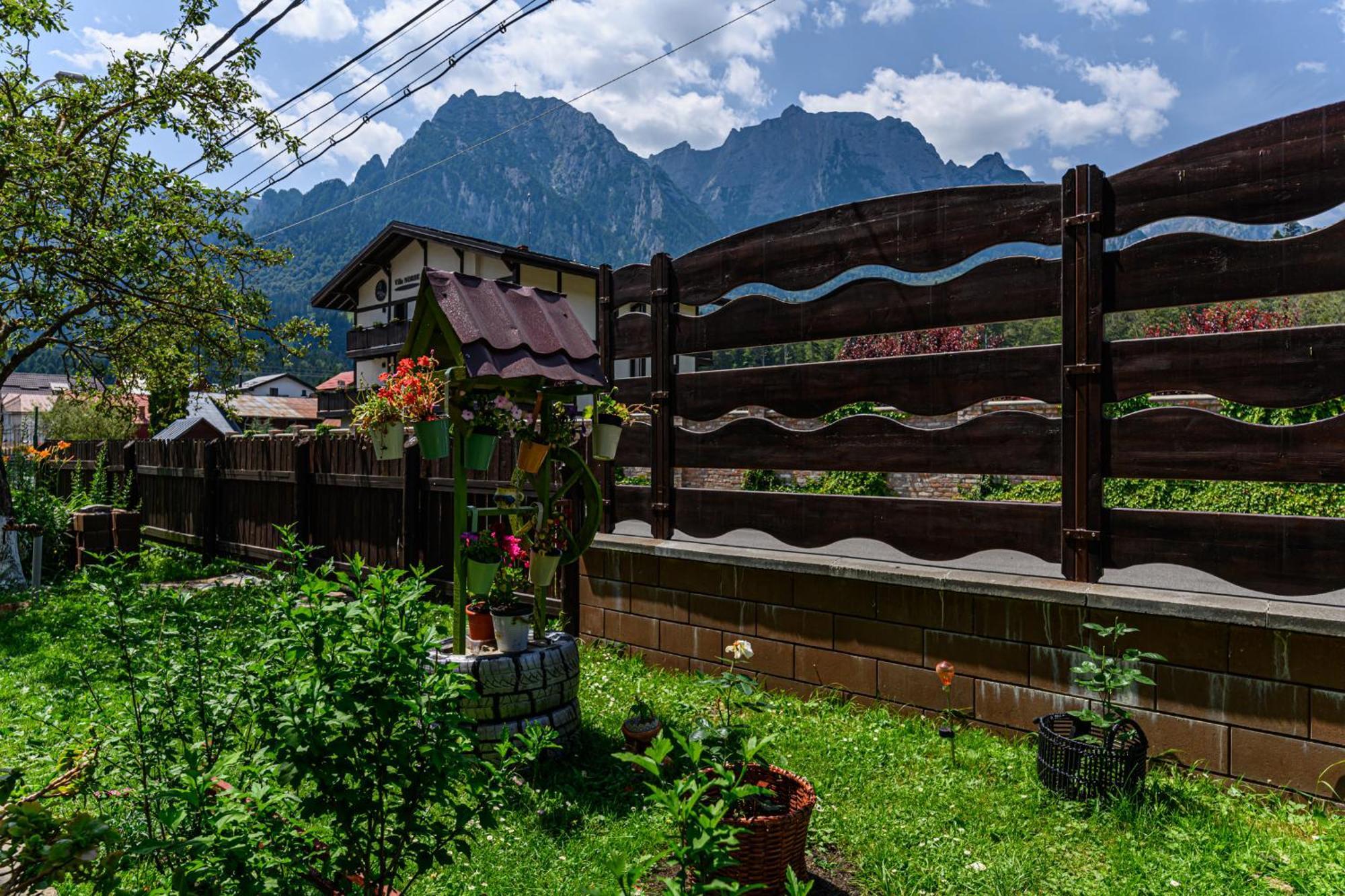 Casa Ramino Hotel Busteni Ngoại thất bức ảnh