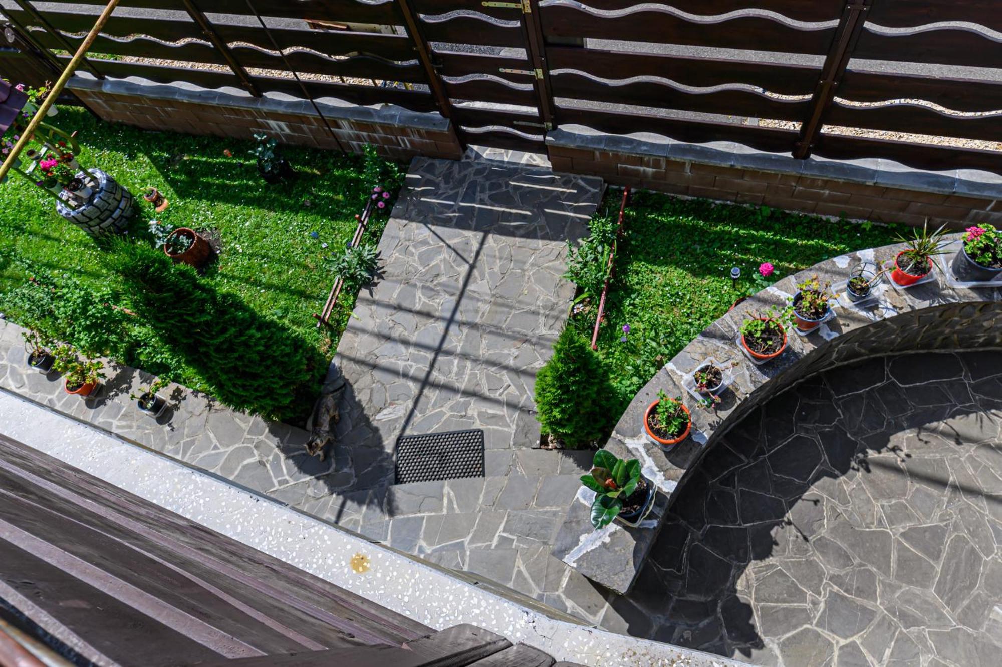 Casa Ramino Hotel Busteni Ngoại thất bức ảnh
